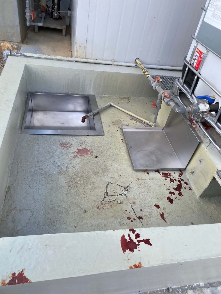 Photo 2023 12 19 16 17 27 (2)